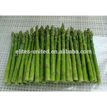 Légume d&#39;asperges frais congelé IQF chinois